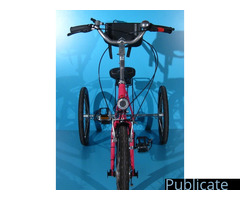 Tricicleta ortopedica Haverich DR 2420 TE - Imagine 3